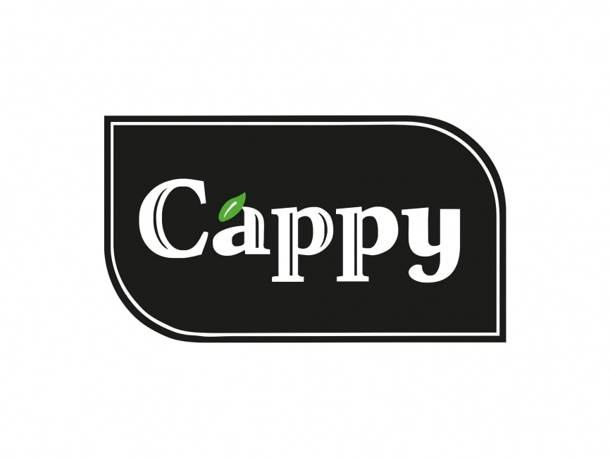 CAPPY MEYVE SUYU