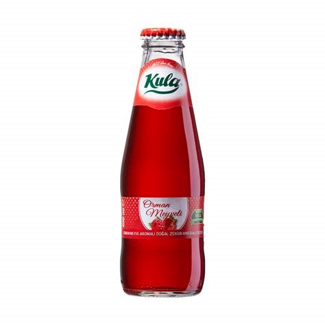 ORMAN MEYVELİ SODA